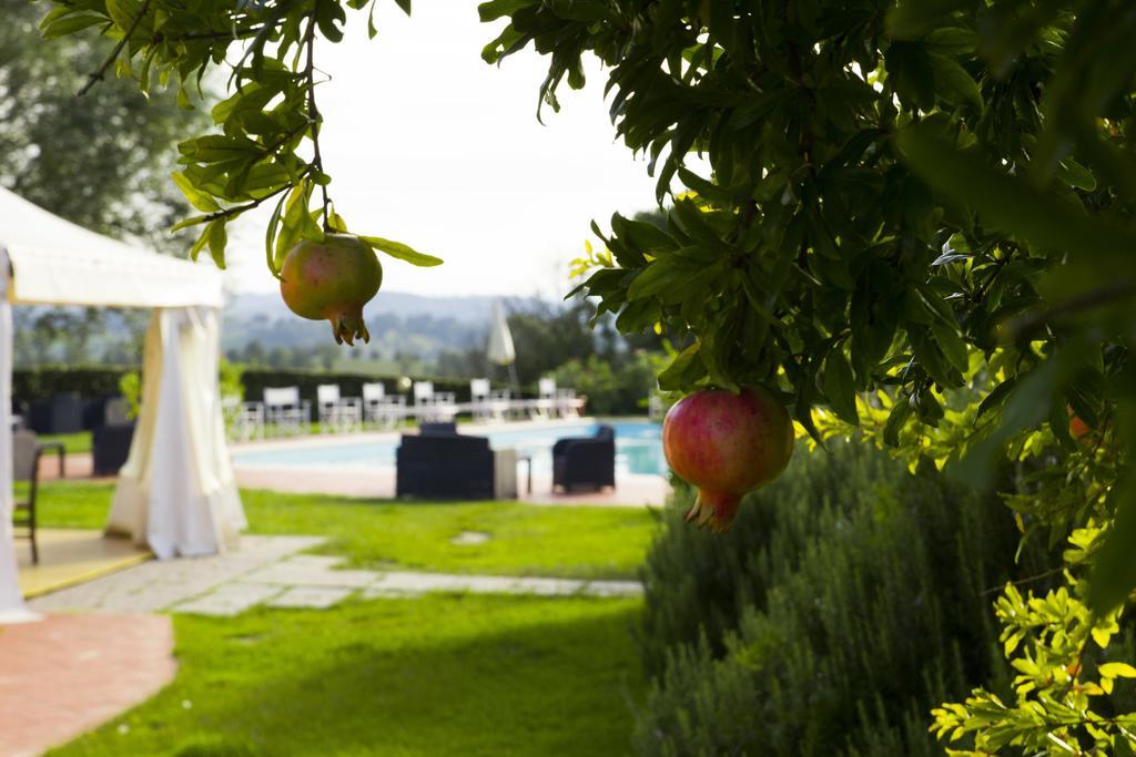 Agriturismo Marrucola Σαν Μινιάτο Εξωτερικό φωτογραφία